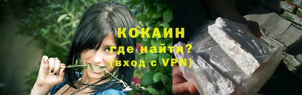 гидра Липки