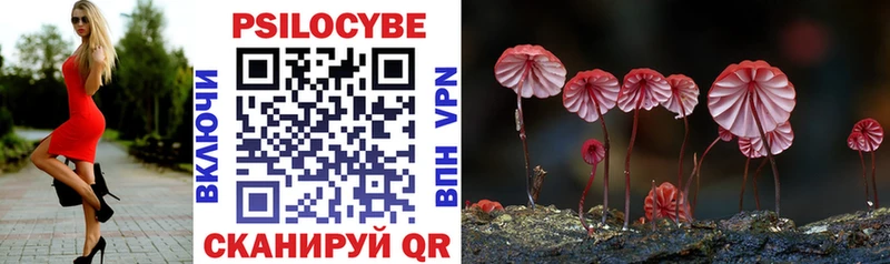 Псилоцибиновые грибы мицелий  Купить где  Сычёвка 
